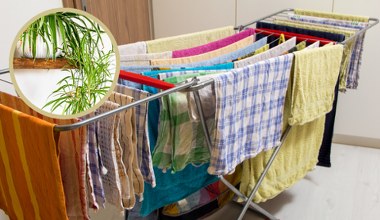Postaw ją przy suszarce na pranie. Szybko rozwiążesz męczący problem 