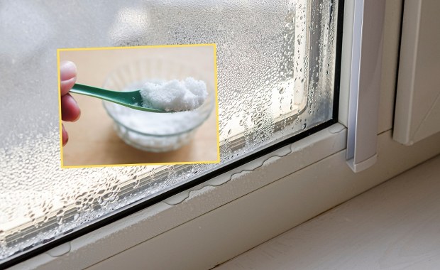 Postaw na parapecie. "Spocone okna" nie będą już utrapieniem