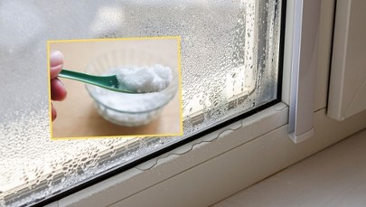 Postaw na parapecie. "Spocone okna" nie będą już utrapieniem