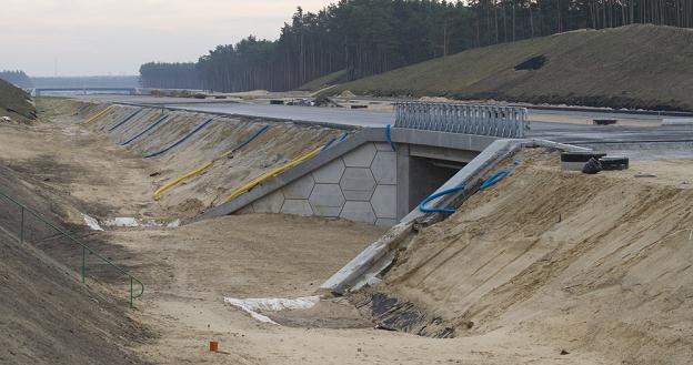 Posypią się pozwy? / Fot: Adam Wysocki /East News