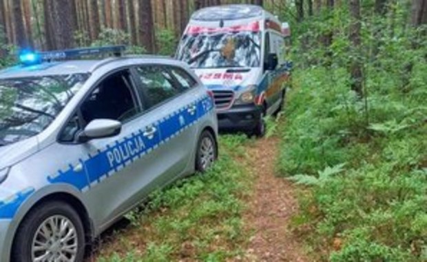 Poszła na jagody i złamała nogę. Rannej szukali policjanci i rowerzyści