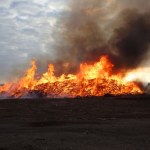 Poszło o kurczaka. Młodzi ludzie pobici i spaleni na stosie