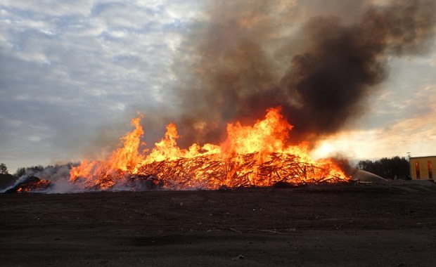 Poszło o kurczaka. Młodzi ludzie pobici i spaleni na stosie