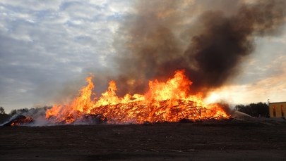 Poszło o kurczaka. Młodzi ludzie pobici i spaleni na stosie