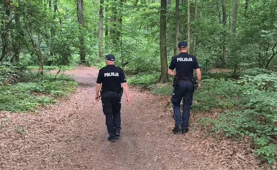 Poszukiwania 12-letniej Elżbiety Wojtackiej /Policja