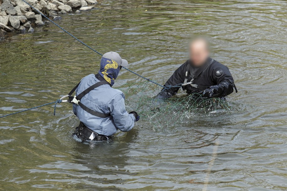 Poszukiwania 3,5-letniego Kacpra /Aleksander Koźmiński /PAP