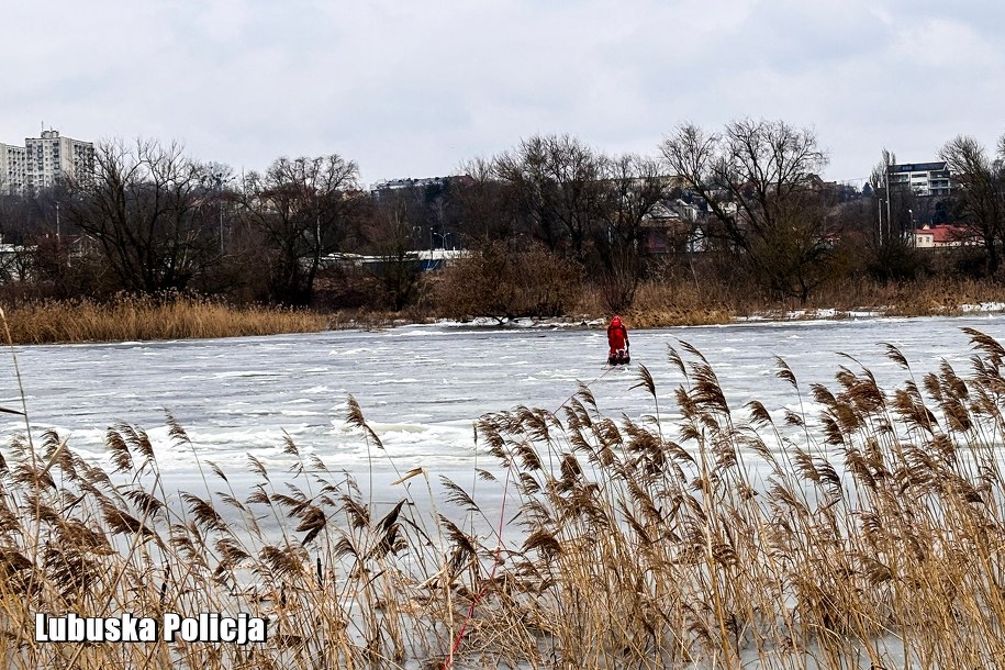 Poszukiwania Angeliki Jastrzębskiej, fot. Policja Gorzów Wielkopolski /