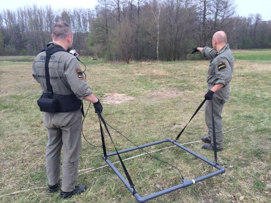 Poszukiwania fragmentów samolotu zestrzelonego w 1939 r. /Agnieszka Wyderka /RMF FM