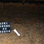 Poszukiwania na Łączce: "Jesteśmy 5 m od miejsca, gdzie powinny być szczątki gen. Fieldorfa 'Nila'"