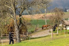 Poszukiwania sprawcy strzelaniny w Kirchberg ob der Donau