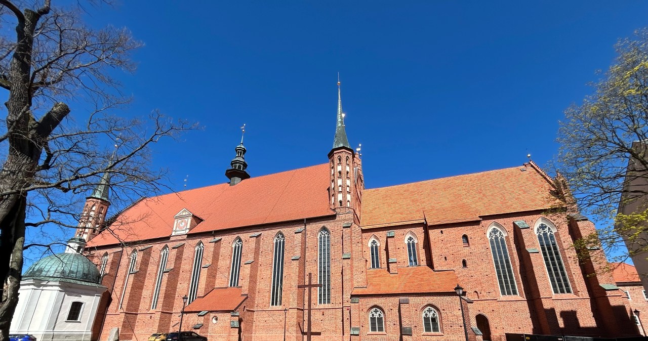 Poszukiwania wuja Mikołaja Kopernika