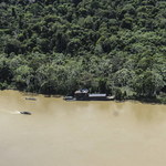 Poszukiwania zaginionego dziennikarza w amazońskiej dżungli. Znaleziono dwa ciała