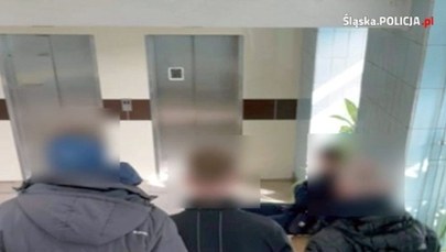 Poszukiwany od kilkunastu miesięcy zatrzymany na spacerze z psem 