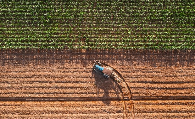 Poszukiwany traktorzysta na zakręcie. 2,5 promila i wiele więcej