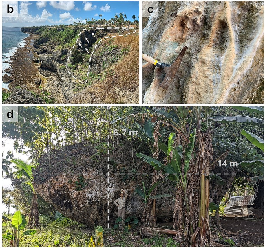 Potencjalne położenie głazu przy klifie o wysokości 30 m (przerywana biała linia) (b) fot. Marine Geology 487, 107567; doi: 10.1016/j.margeo.2025.107567 /