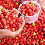 Potężna dawka witaminy C z owoców. Pomaga w odchudzaniu, zbija cukier 