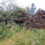 Potężne nawałnice na Dolnym Śląsku. Ponad 600 interwencji