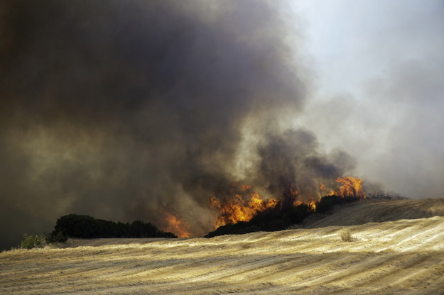 Potężne pożary nawiedziły w tym roku Grecję /IKONOMOU VASSILIS /PAP/EPA