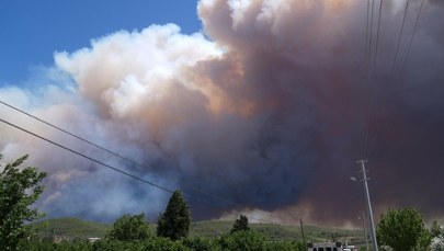 Potężne pożary w Turcji. 41 miejscowości ewakuowanych