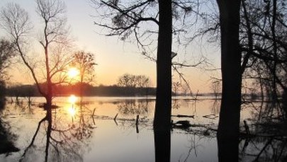 Potężne rozlewiska w Hannie nad Bugiem