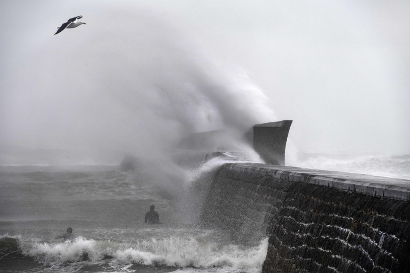 Potężne sztormy nad Morzem Północnym przechodzą dość często /Fred TANNEAU / AFP /East News