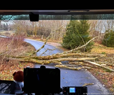 Potężne wichury nad Polską. Tysiące interwencji strażaków