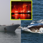 Potężny atak na Sewastopol. Jakie okręty mogli stracić Rosjanie?