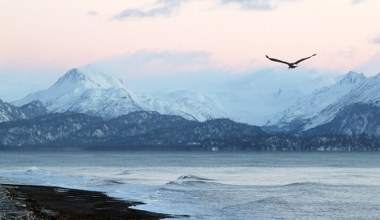 Potężny huragan zniszczył cenne artefakty na Alasce
