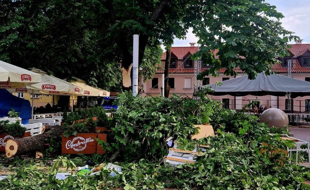 Potężny konar spadł na ludzi na rynku w Zamościu. Są ranni