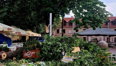 Potężny konar spadł na ludzi na rynku w Zamościu. Są ranni