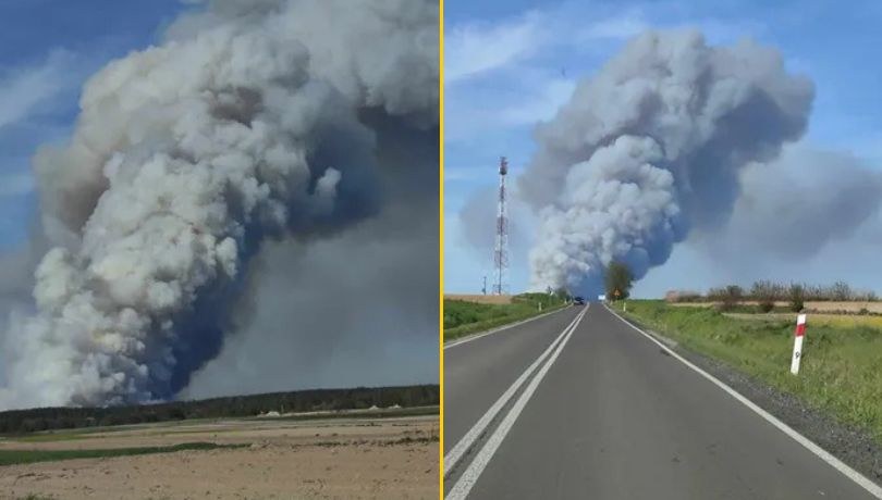 Potężny pożar lasu w powiecie biłgorajskim /Gorąca Linia RMF FM /RMF FM