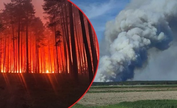 Potężny pożar na Lubelszczyźnie. Kilkuset strażaków walczy z ogniem