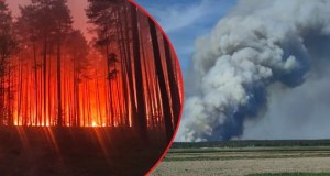 Potężny pożar na Lubelszczyźnie. Kilkuset strażaków walczy z ogniem