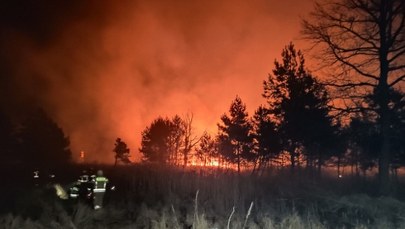 Potężny pożar w okolicach rezerwatu na Podkarpaciu. Całonocna akcja strażaków