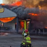 Biedronka sieć sklepów