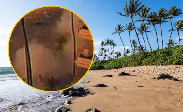 Potężny wybuch grilla w ośrodku wypoczynkowym. Są ranni [NAGRANIE]