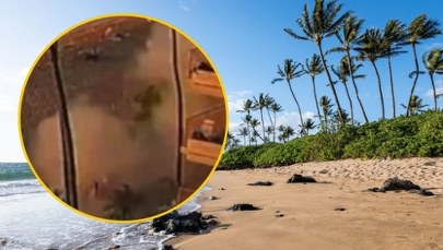 Potężny wybuch grilla w ośrodku wypoczynkowym. Są ranni [NAGRANIE]