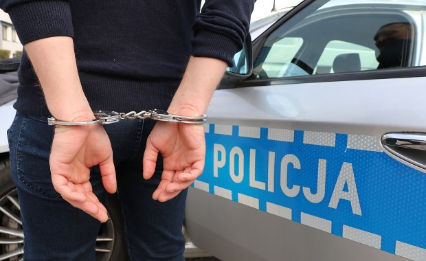 Potrącił kobietę w ciąży i dziecko. Zarzuty dla mężczyzny