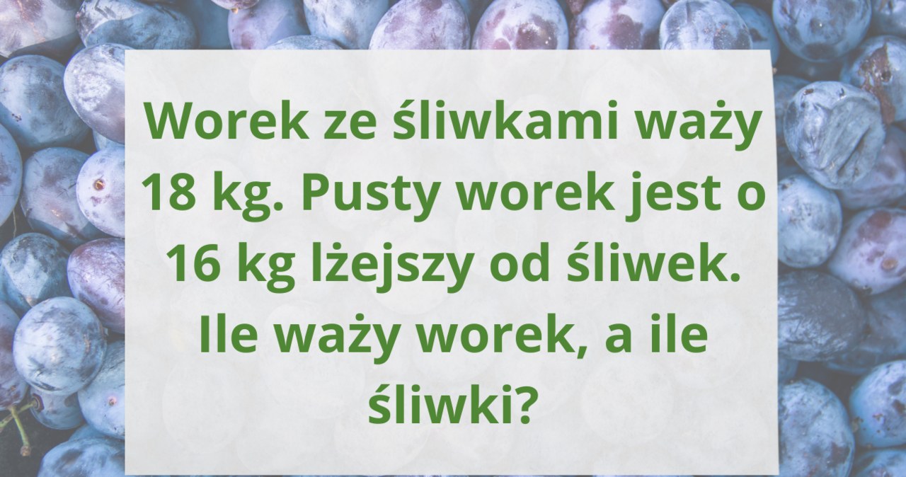 Potrafisz logicznie myśleć? Ta zagadka to sprawdzi /Canva Pro