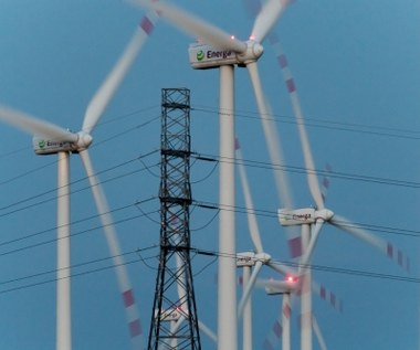 Potrzeba nowych sieci i nowych elektrowni. Inwestycje w polską energetykę jak studnia bez dna