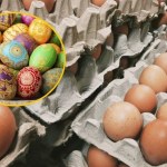 Potrzebne są do ciast i sałatek. Ile zapłacisz za jajka na wielkanocny stół?
