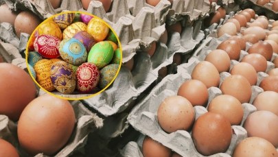 Potrzebne są do ciast i sałatek. Ile zapłacisz za jajka na wielkanocny stół?