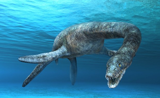 Potwór sprzed milionów lat odkryty w Niemczech. Nowy gatunek zmienia naukę