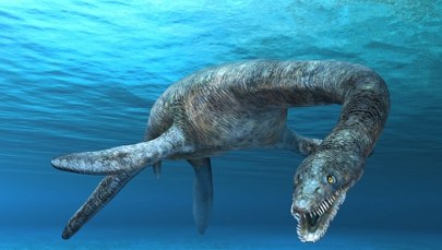 Potwór sprzed milionów lat odkryty w Niemczech. Nowy gatunek zmienia naukę