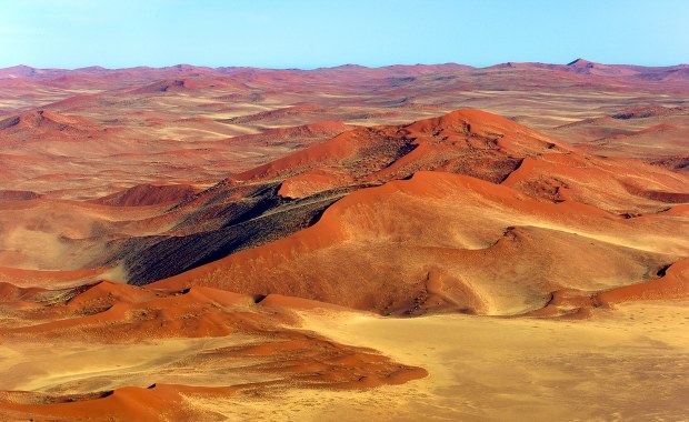 "Potwór z bagien" odkryty w "miejscu, gdzie nie ma nic". Poznajcie Gaiasię