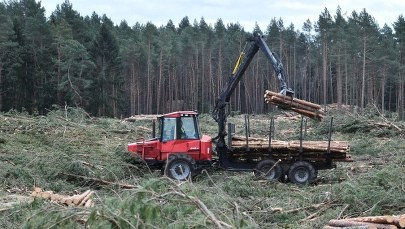 Poufne rozmowy KE z polskimi władzami w sprawie przekopu Mierzei Wiślanej. Znamy ich przebieg