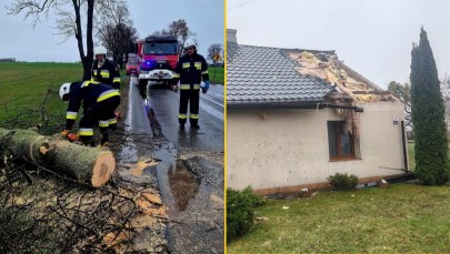 Powalone drzewa, brak prądu i silny wiatr. Pracowite święta strażaków