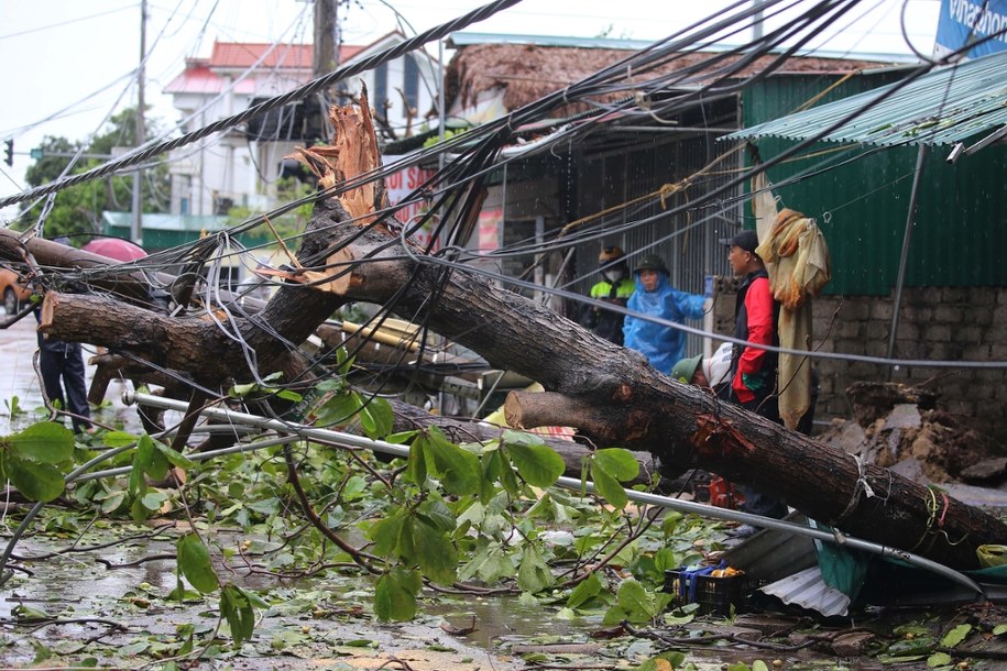 Powalone drzewa i zerwane linie energetyczne w mieście Vinh w północnym Wietnamie /LUONG THAI LINH /PAP/EPA