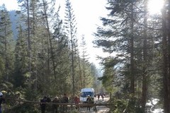 Powalone drzewa na drodze do Doliny Chochołowskiej