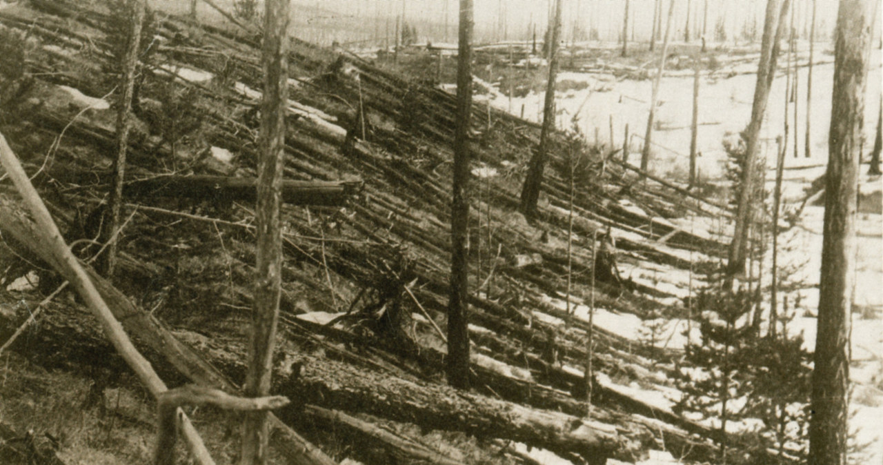 Powalone drzewa na skutek Katastrofy Tunguskiej w 1908 roku /East News